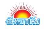 mango hobby featured media logo (3)